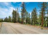 0 Trout Creek Ln - Photo 3