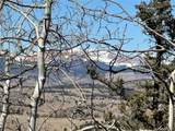 505 Quarter Horse Rd - Photo 10