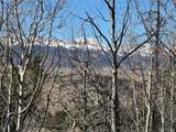 505 Quarter Horse Rd - Photo 12