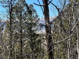 505 Quarter Horse Rd - Photo 15