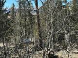 505 Quarter Horse Rd - Photo 23