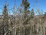 505 Quarter Horse Rd - Photo 24