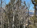 505 Quarter Horse Rd - Photo 25