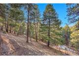 27292 Ridge Trl - Photo 21