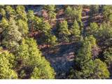27292 Ridge Trl - Photo 29