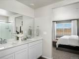 830 Gambel Dr - Photo 11