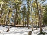 358 Pawutsy Rd - Photo 14