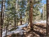 358 Pawutsy Rd - Photo 16