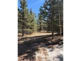 249 Gold Dust Creek Rd - Photo 11