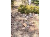 249 Gold Dust Creek Rd - Photo 12