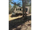 249 Gold Dust Creek Rd - Photo 19