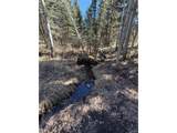 249 Gold Dust Creek Rd - Photo 20