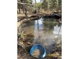 249 Gold Dust Creek Rd - Photo 4