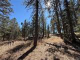 249 Gold Dust Creek Rd - Photo 5