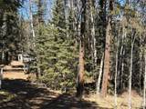 249 Gold Dust Creek Rd - Photo 8