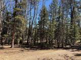249 Gold Dust Creek Rd - Photo 9