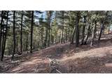 461 Paradiso Rd - Photo 3