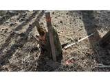 461 Paradiso Rd - Photo 5