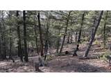 461 Paradiso Rd - Photo 6