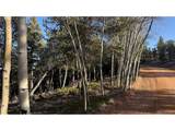 461 Paradiso Rd - Photo 9