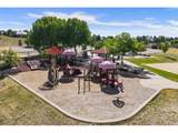 3363 Prairie Vista Dr - Photo 49