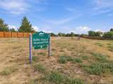 12668 Prentice Dr - Photo 49