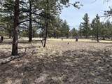 2146 Wagon Wheel Rd - Photo 1