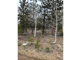 2146 Wagon Wheel Rd - Photo 10