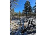 2146 Wagon Wheel Rd - Photo 11