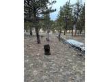 2146 Wagon Wheel Rd - Photo 13