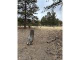 2146 Wagon Wheel Rd - Photo 14