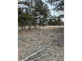 2146 Wagon Wheel Rd - Photo 15