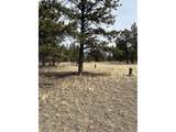 2146 Wagon Wheel Rd - Photo 3