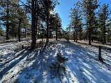 2146 Wagon Wheel Rd - Photo 4