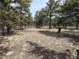 2146 Wagon Wheel Rd - Photo 6