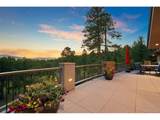 26348 Columbine Glen Trl - Photo 5