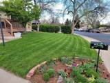 2313 Farisita Dr - Photo 4
