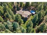 32638 Little Cub Rd - Photo 37