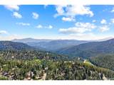 32638 Little Cub Rd - Photo 39