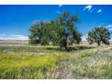  Fiddleback Ranch Rd - Photo 14