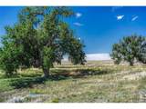  Fiddleback Ranch Rd - Photo 16