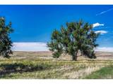  Fiddleback Ranch Rd - Photo 18