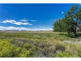  Fiddleback Ranch Rd - Photo 19