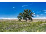  Fiddleback Ranch Rd - Photo 20