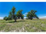  Fiddleback Ranch Rd - Photo 21