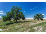  Fiddleback Ranch Rd - Photo 23