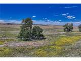  Fiddleback Ranch Rd - Photo 24