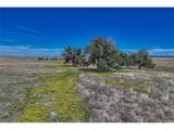  Fiddleback Ranch Rd - Photo 25