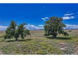  Fiddleback Ranch Rd - Photo 26