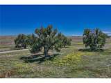  Fiddleback Ranch Rd - Photo 27